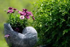 Garten und Blumen im Topf